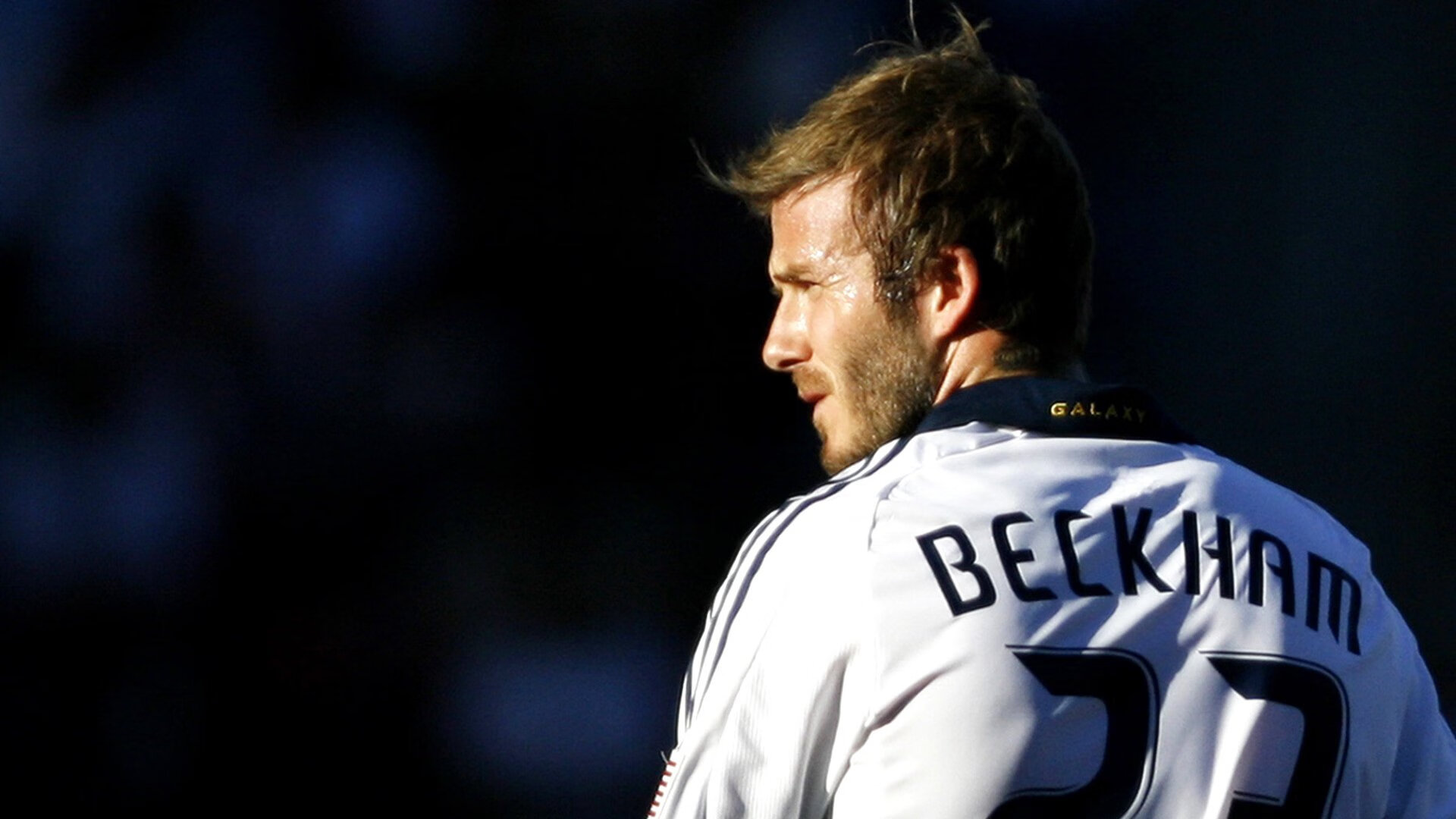 _未来体育集市：科技新品与运动文化碰撞_，未来体育公司